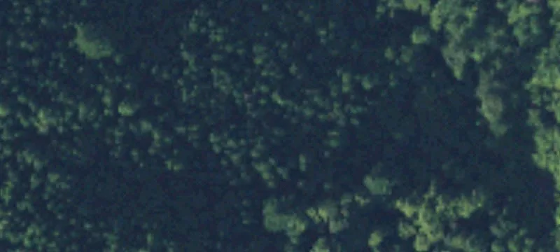 Glenoma, WA 98336