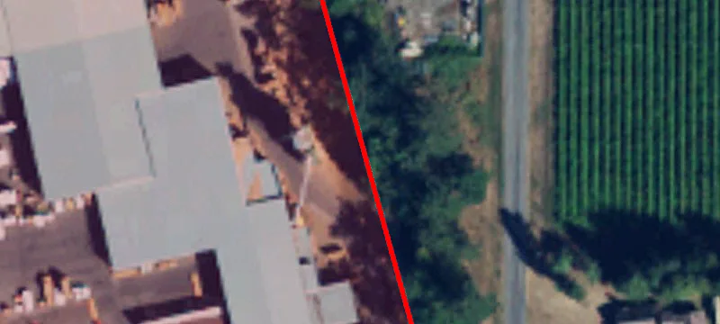 Msn Rd