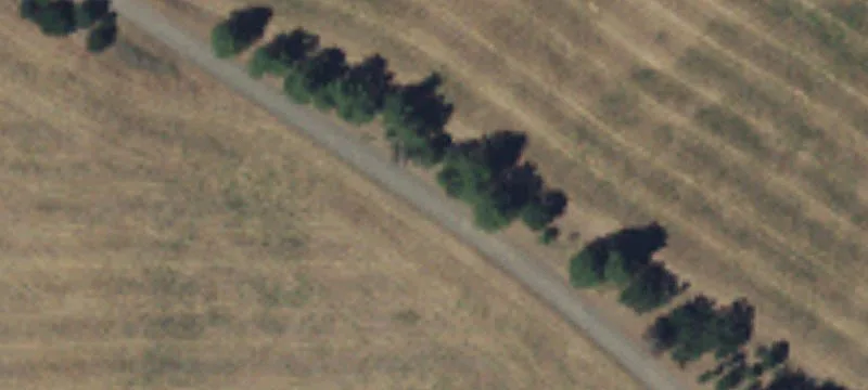 Counts Rd