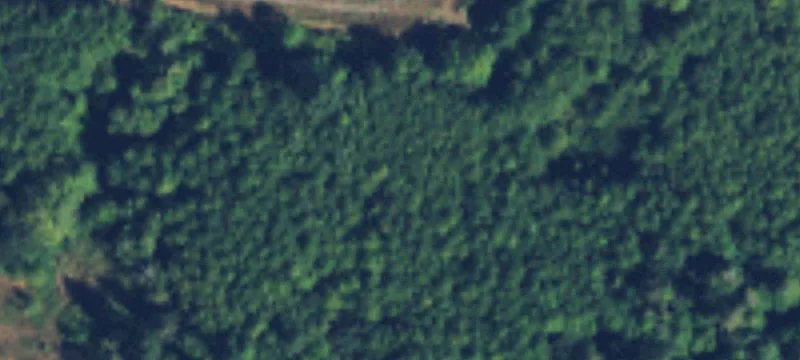 256832 Hwy 101