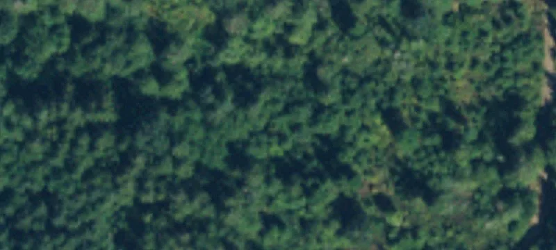 Middle Frk Rd