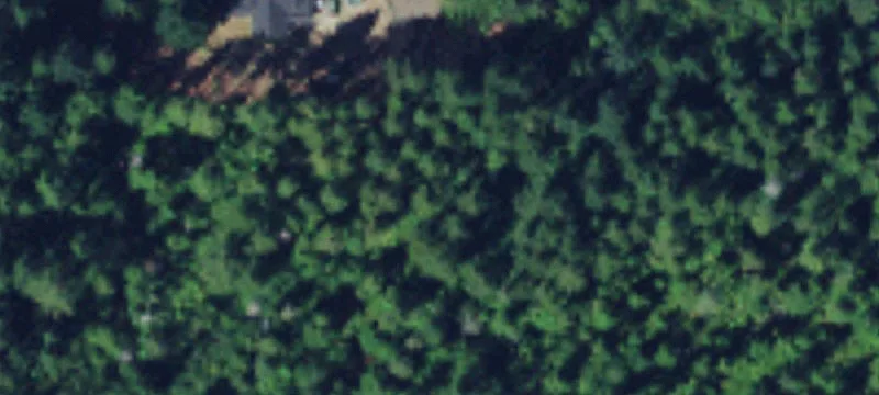 6838 Calvinwood SW Rd