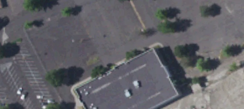 1631 Rose St