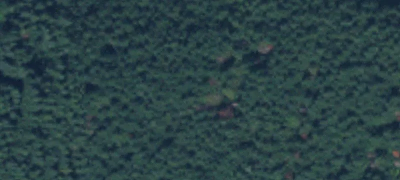 Glenoma, WA 98336