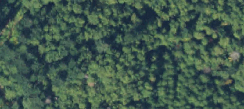 Glenoma, WA 98336