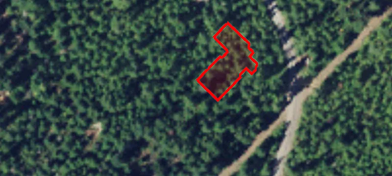 Belfair, WA 98528