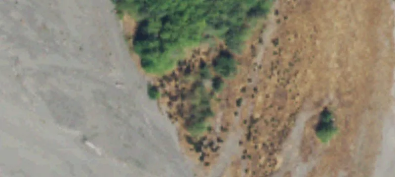 171353 Hwy 101