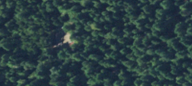 901 Black Bear Rd