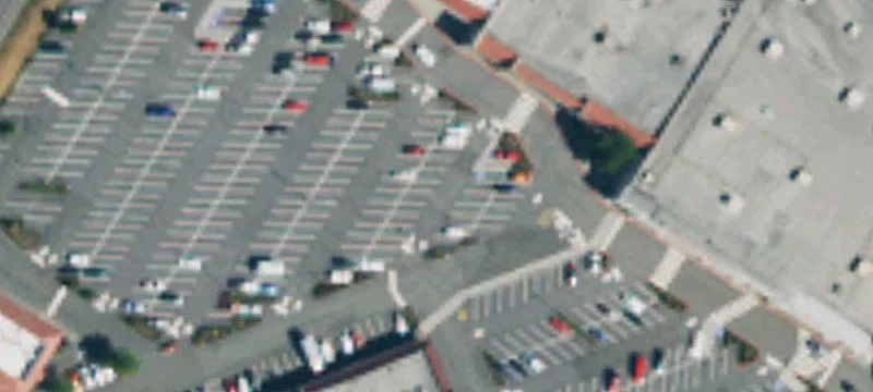 10011 Evergreen Way