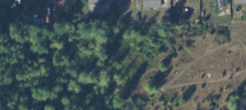 Buckley, WA 98321