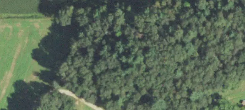 156 Plank Rd