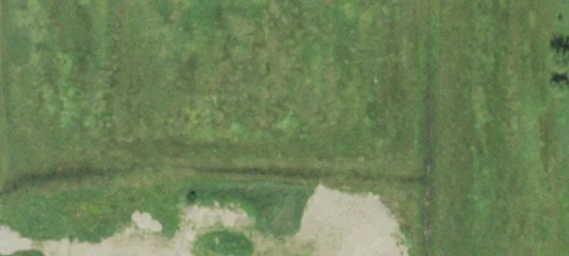 Marshfield, WI 54449