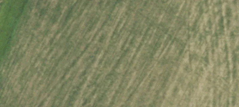 Belleville, WI 53508
