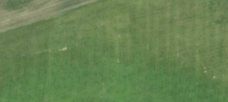 Cambria, WI 53923