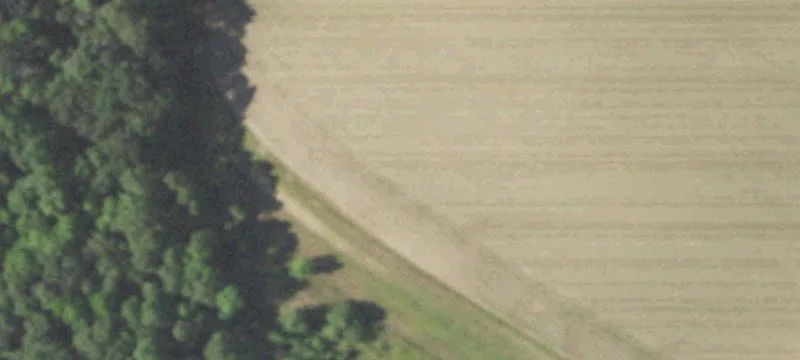 Almond, WI 54909