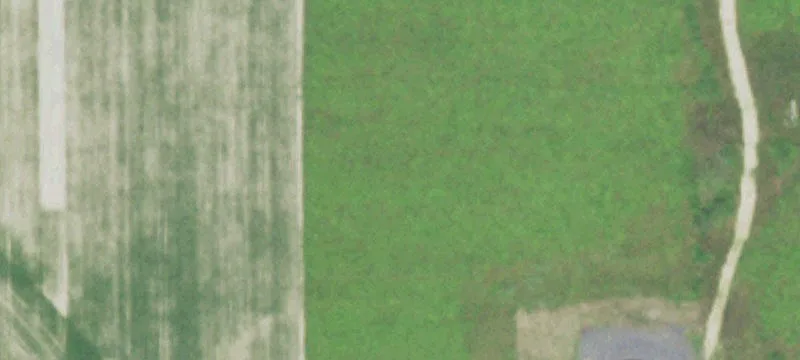Thorp, WI 54771