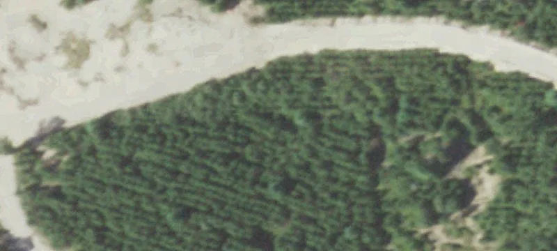 Nekoosa, WI 54457