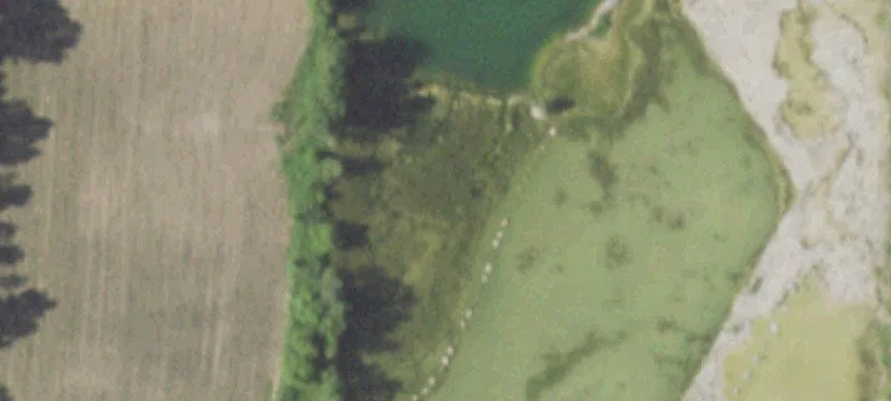 3112th Paradise Rd