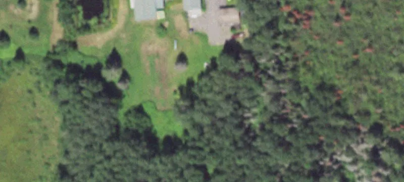 18036 State Hwy 55