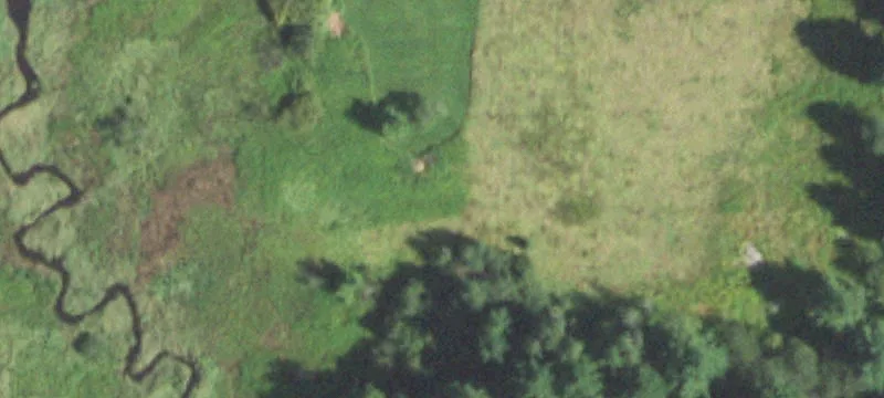 Medford, WI 54451