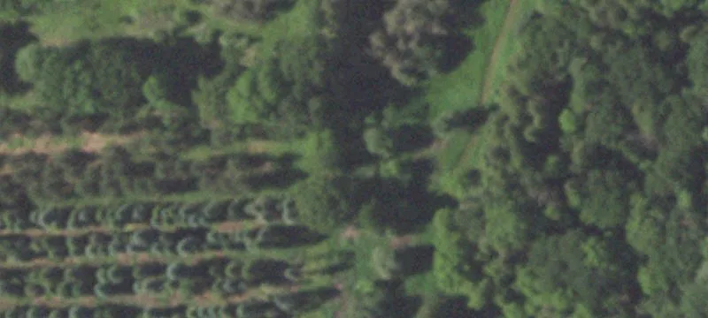 2600 Flintville Rd