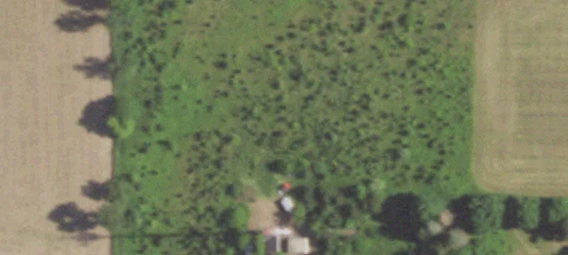 6060 State Rd 50