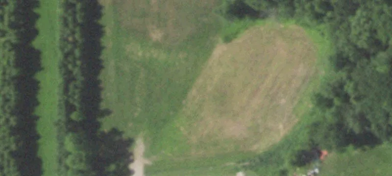 3650 Shady Ln