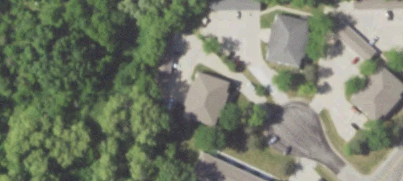 8920 Nelson Ct