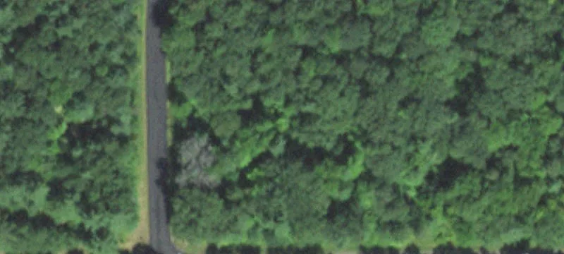 570 Happy Holw Rd
