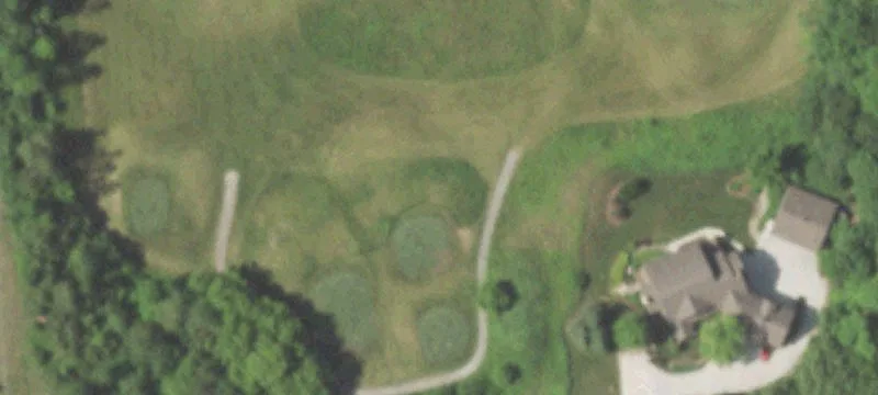 Hammann Rd