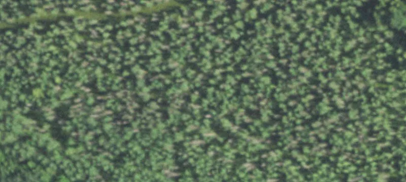 Aniwa, WI 54408