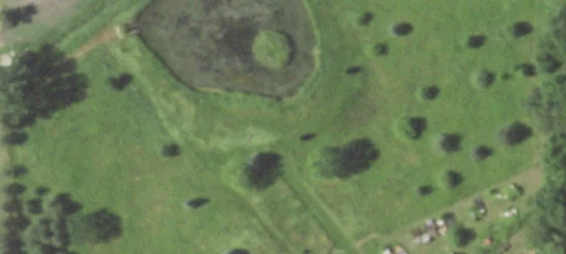 9826 5th Mile Rd