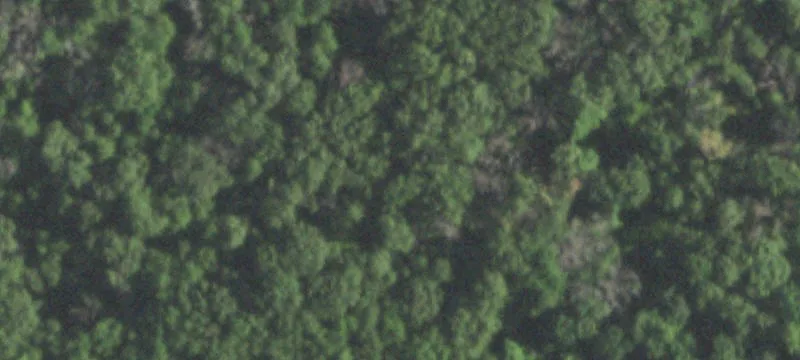3646th Williams Rd
