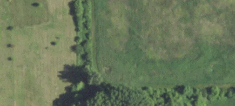 1318 Larsen Rd