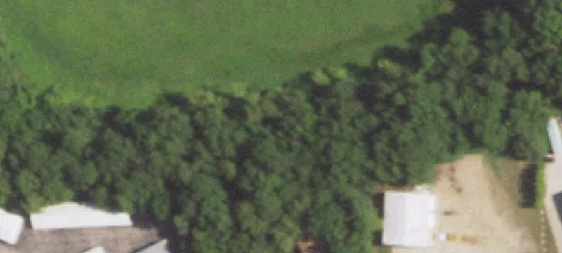 137 Oakridge Dr