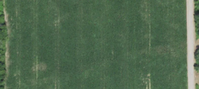 Centuria, WI 54824