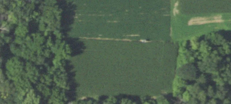 1907th Buena Vis Rd