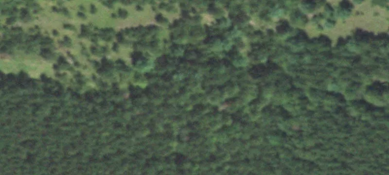 1500 Kowalski Rd