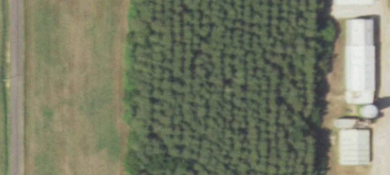 Nelson, WI 54756