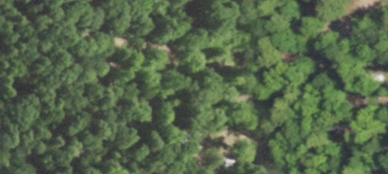 16091 Chain Lk Rd