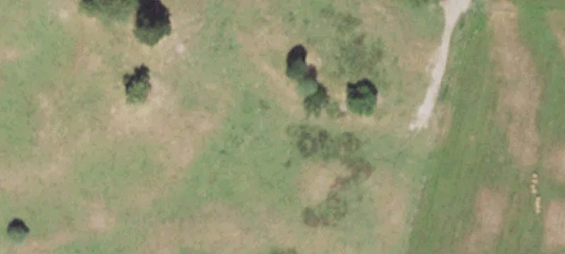 2420 Ziolkowski Rd
