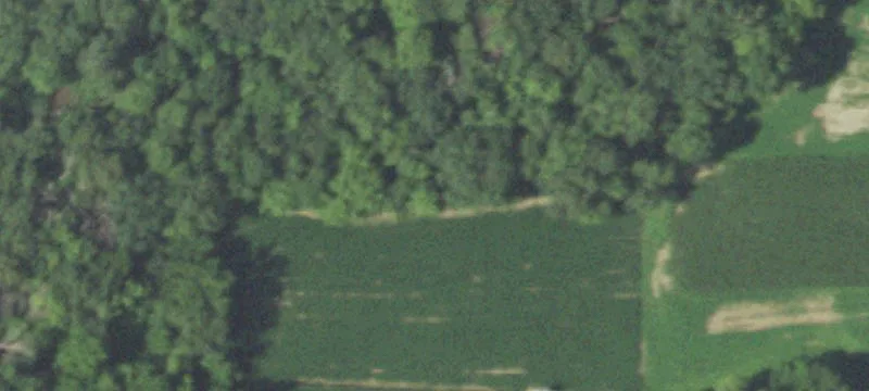 1907th Buena Vis Rd