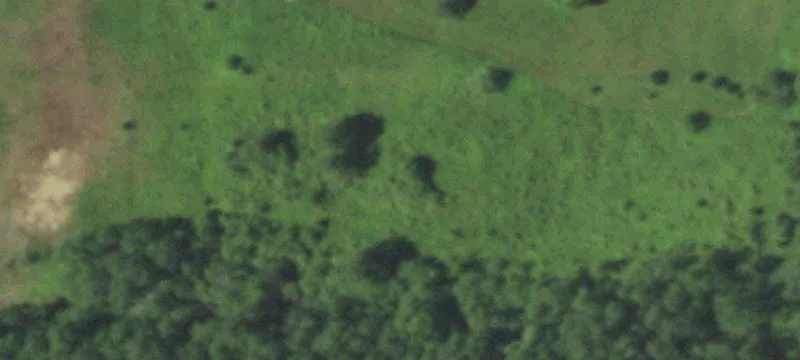 5295 Us Hwy 41