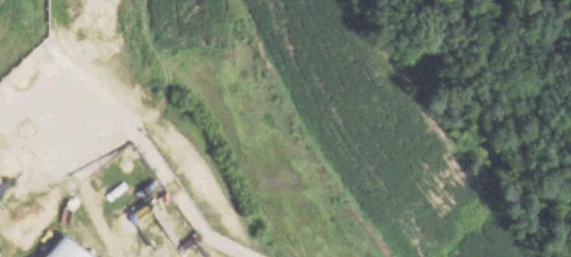 Mondovi, WI 54755