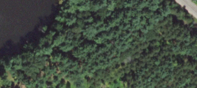Stevens Point, WI 54481