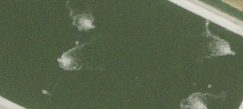 Darien, WI 53114