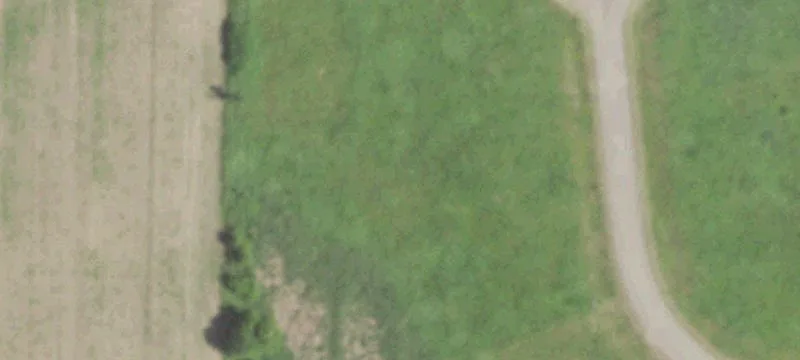 Marion, WI 54950