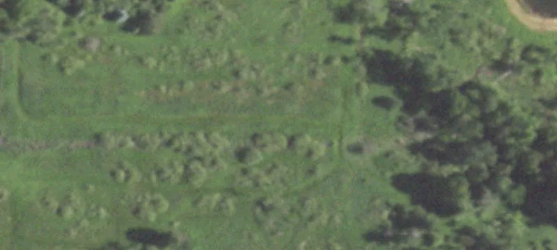 Shiocton, WI 54170