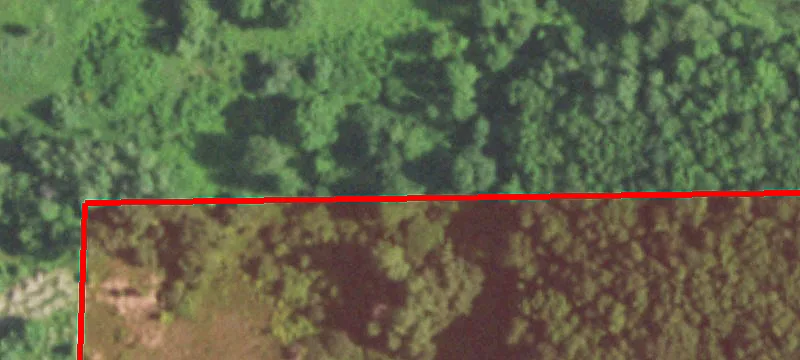 Wittenberg, WI 54499