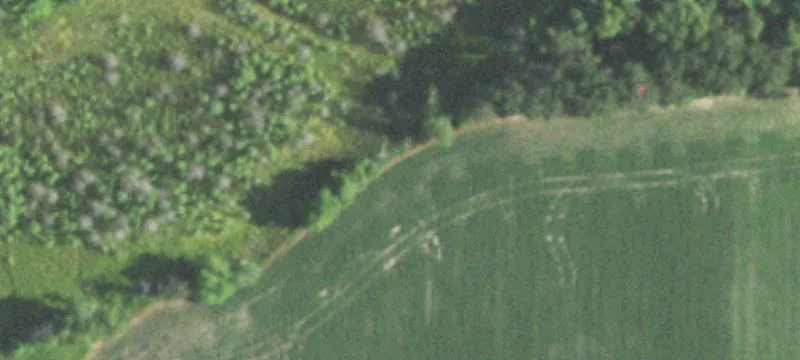 Wittenberg, WI 54499